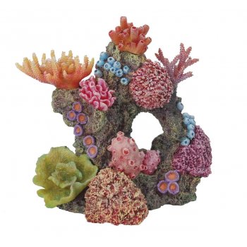 HAQUOSS REEF DREAM 13 - 18x14x18h cm